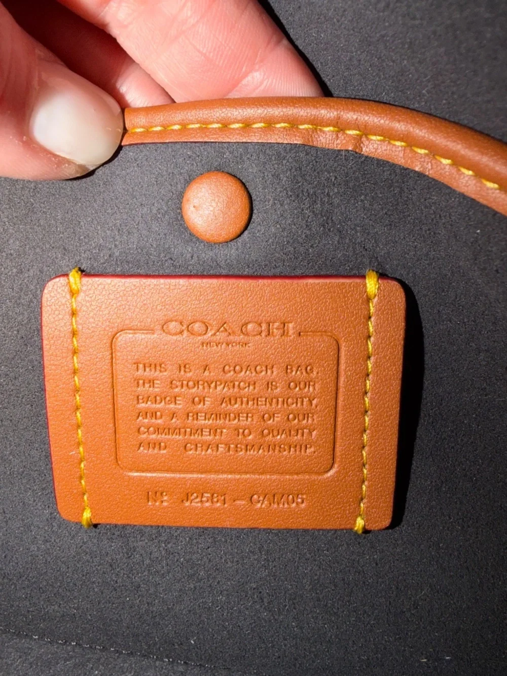 Coach Soft Empire Carryall Bag 28
